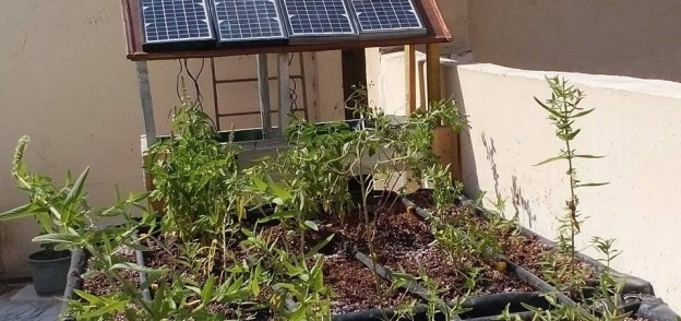الزراعة بالطاقة الشمسية