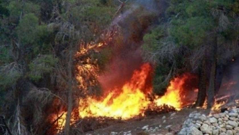 حريق ضخم بجبل قربص في تونس