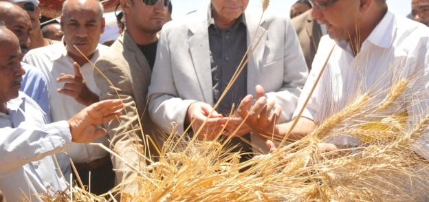حجازي يطلق إشارة البدء لموسم حصاد القمح بوادي النقرة في أسوان