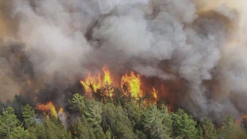 حرائق الغابات بكندا