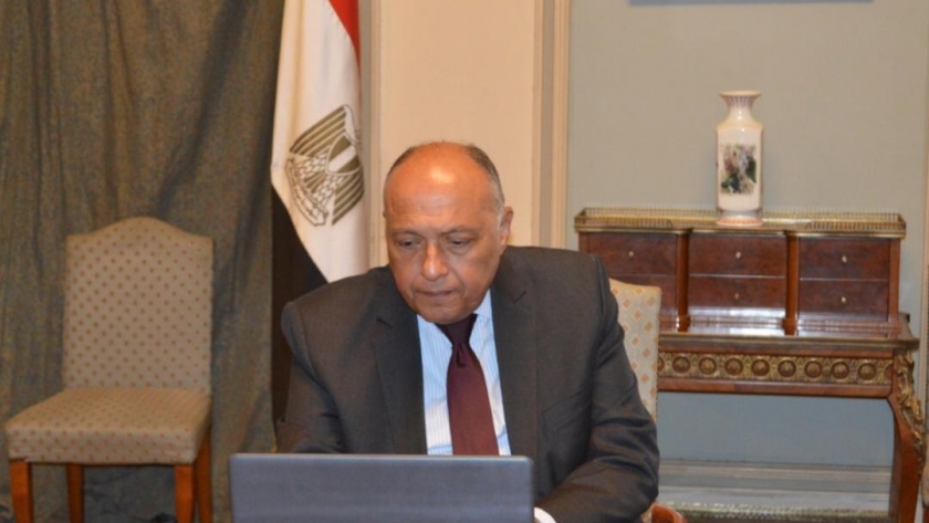 سامح شكرى وزير الخارجية المصرية