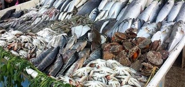 أسعار السمك في شم النسيم