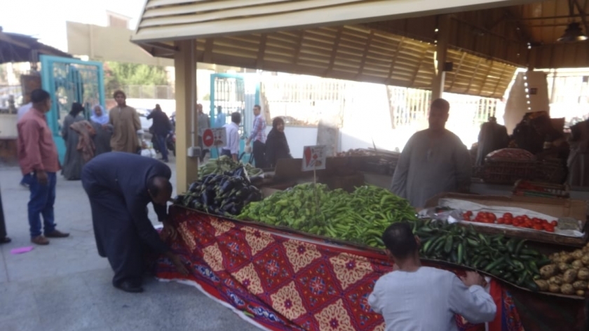 الخضروت والفاكهة في شمال سيناء