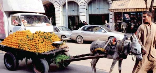 عربة كارو - أرشيفية