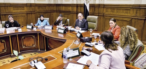 لجنة التضامن بمجلس النواب خلال اجتماعها