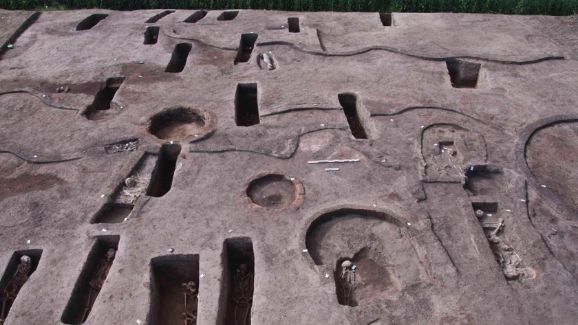 عاجل.. الكشف عن 110 مقابر أثرية في «كوم الخلجان» بالدقهلية (صور)