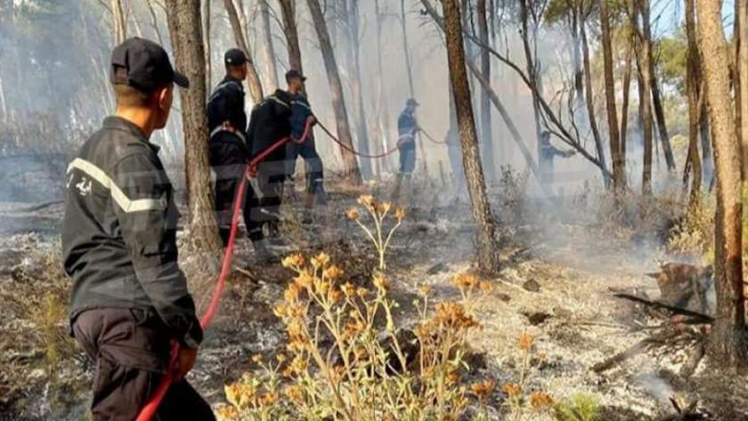 حرائق غابات تونس