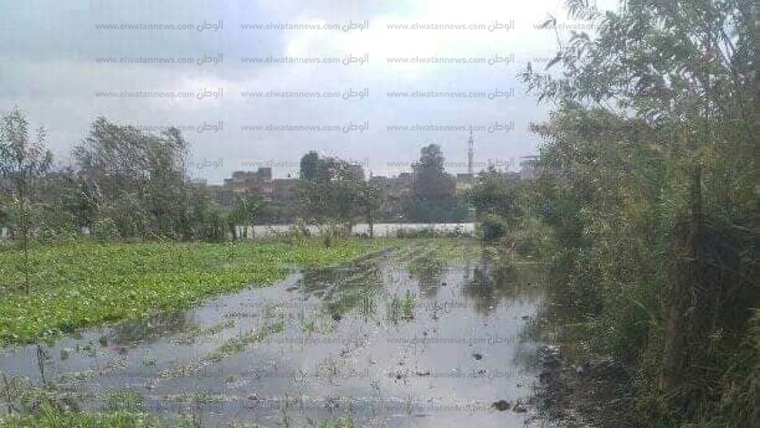 ارتفاع المياه الواردة الى مصر من منابع النيل
