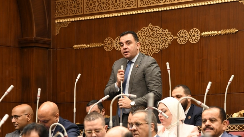 النائب محمد السباعى وكيل لجنة الزراعة والرى بمجلس الشيوخ