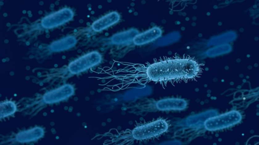 انتشار البكتيريا المقاومة للمضاد تزايد بعد الغزو الأمريكي للعراق