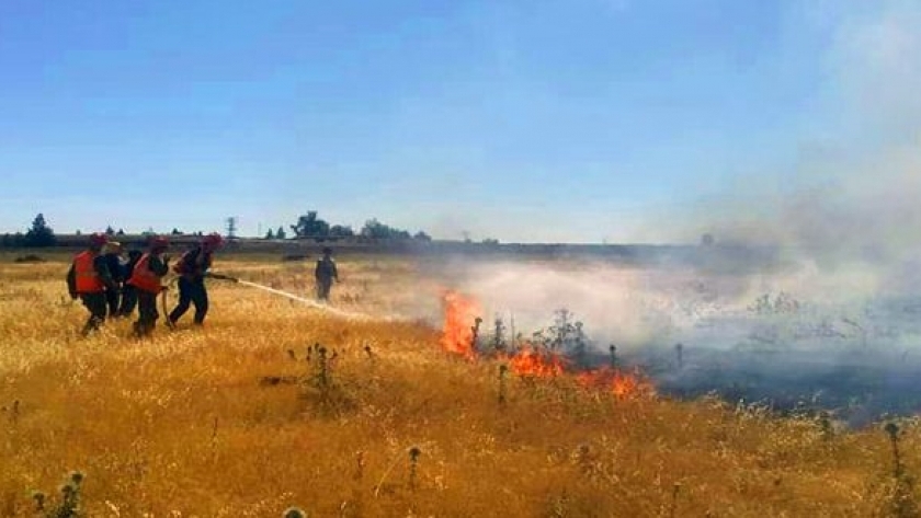 سوريا: إخماد 16 حريقاً في حقول زراعية ومساحات خضراء بحمص