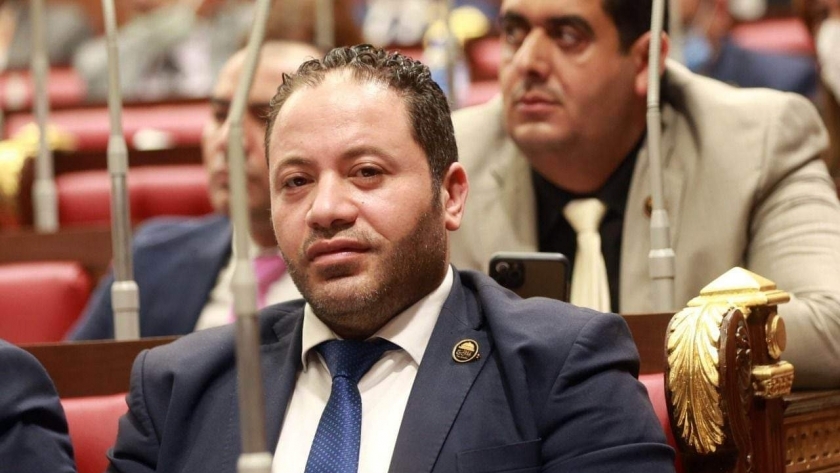النائب مصطفى سالمان، عضو مجلس الشيوخ
