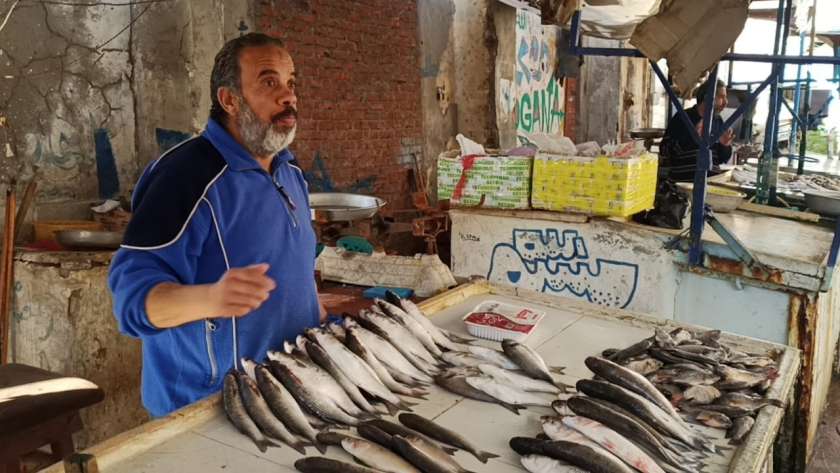 «كيلو البوري بـ70».. أسعار الأسماك اليوم في مصر