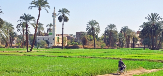 مشروع تطوير الريف المصري