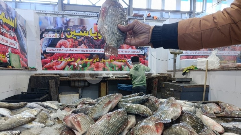 أسعار السمك.. تعبيرية