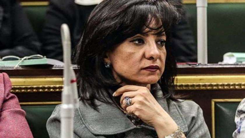 النائبو داليا يوسف عضو البرلمان