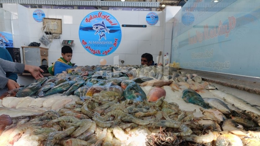 سوق الأسماك - صورة أرشيفية