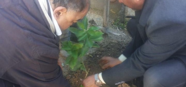 زراعة 35 شجرة مثمرة بـ5 مدارس غرب الإسكندرية ضمن مبادرة الرئيس
