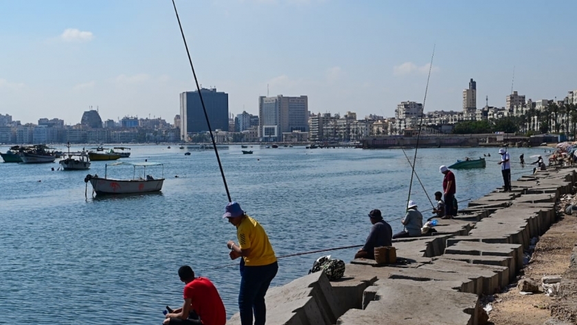 انخفاض درجات الحرارة في الإسكندرية