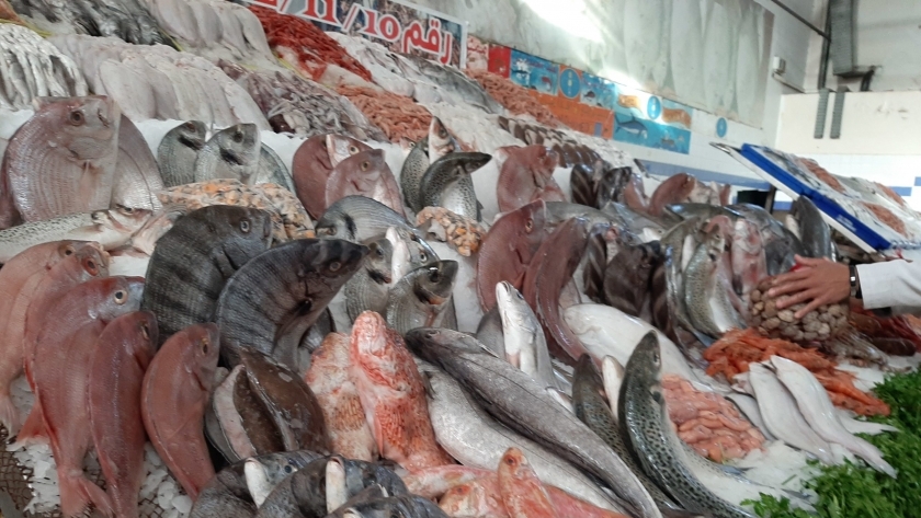 أسماك في سوق في مصر
