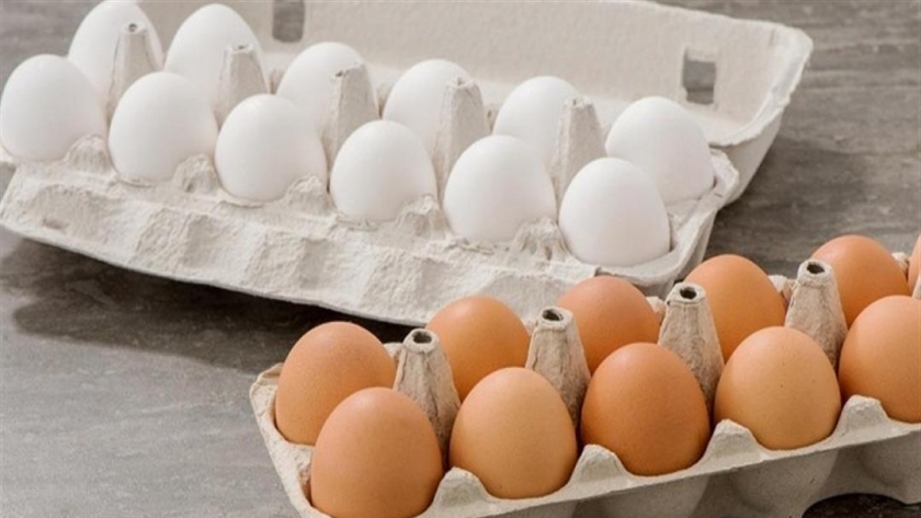 البيض الأروجانيك
