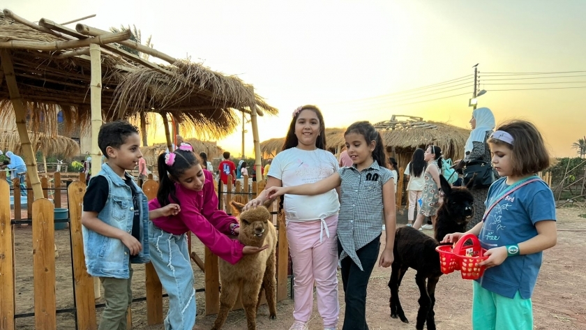 أول حديقة حيوان وسط النيل تجذب الأطفال فى الإجازات