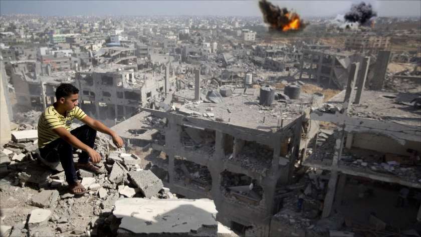 فلسطينيون يحاربون الإبادة بـ"كثرة المواليد"