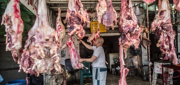 استقرار اسعار اللحوم
