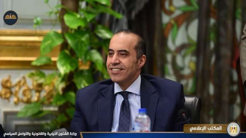المستشار محمود فوزي - وزير الشؤون النيابية والقانونية والتواصل السياسي 