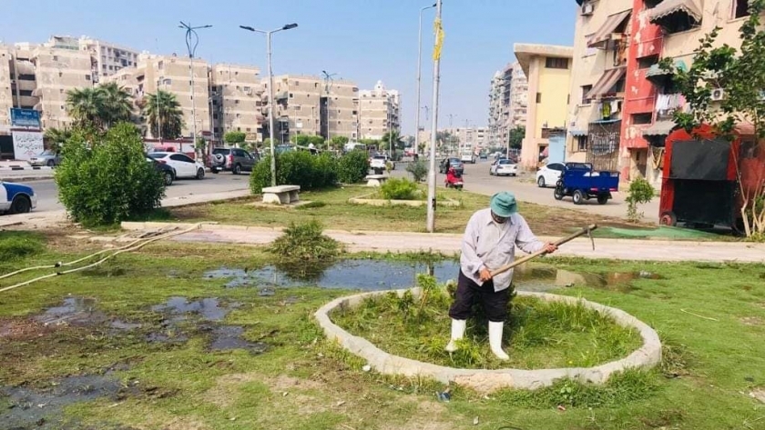 تجميل الحدائق بحي المناخ ببورسعيد