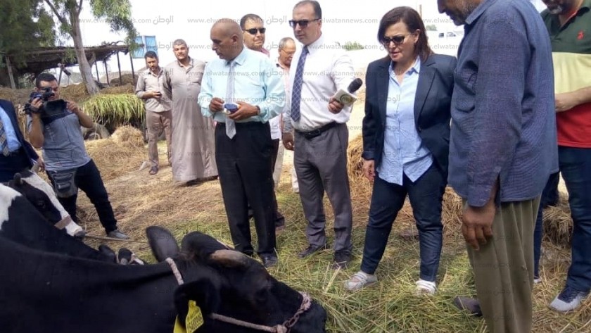 نائب وزير الزراعة تتفقد أعمال الحملة القومية الثانية للتحصين فى كفر الشيخ