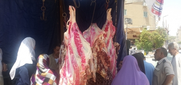 تدشين معارض  لبيع اللحوم البلدي بأسعارالكيلو بـ"100 " جنيه بالغربية