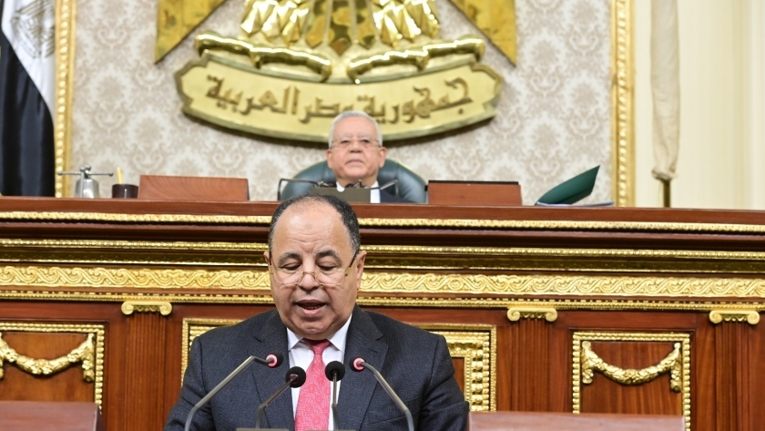 وزير المالية خلال جلسة النواب