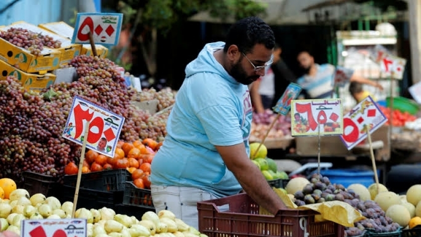 رئيس «شعبة الفاكهة»: ما يُتداول مؤخراً في السوق مجرد شائعات