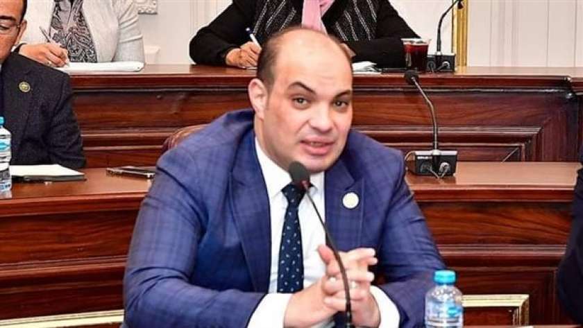 النائب علاء حمدي قريطم عضو مجلس النواب
