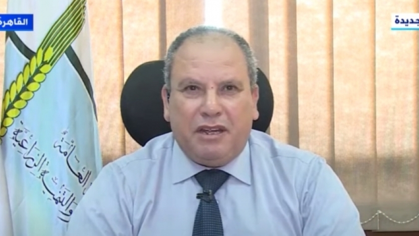 محمد الشحات المدير التنفيذي لهيئة التعمير والتنمية الزراعية