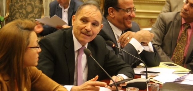 النائب رضا البلتاجي، عضو مجلس النواب