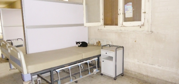 حميات العباسية.. القطط مكان المرضى أحياناً