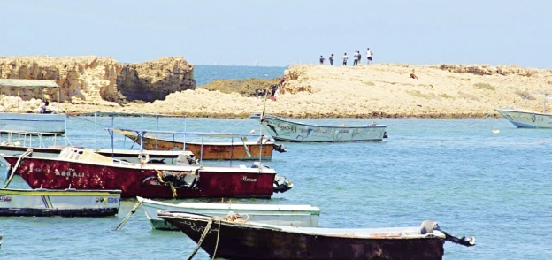 «جزيرة الكور» بمنطقة ميامى شرق الإسكندرية