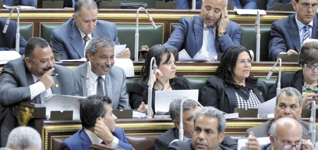 البرلمان يعد لمعركة الدفاع عن صورة مصر خارجياً