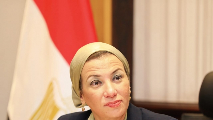 وزيرة البيئة، ياسمين فؤاد