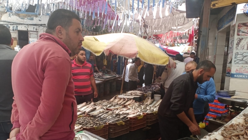 أسواق الأسماك بشمال سيناء