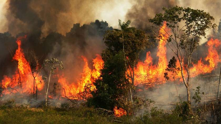 حريق غابات الأمازون
