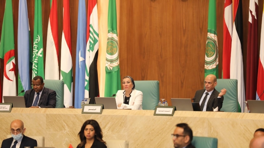 مجلس الوزراء العرب المسئولين عن البيئة