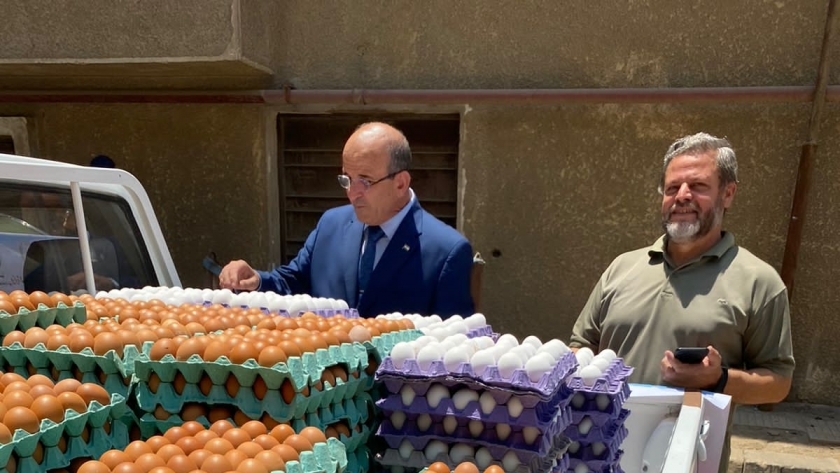 د طارق سليمان رئيس قطاع تنمية الثروة الحيوانية يتابع منافذ البيض أمام وزارة الزراعة