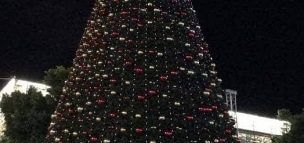 شجرة عيد الميلاد بفلسطين