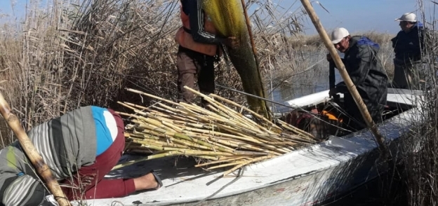محافظ كفرالشيخ يتابع حملة إزالة التعديات على بحيرة البرلس