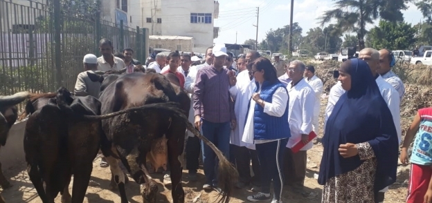 حملات تحصين الماشية ضد الامراض الوبائية