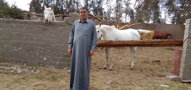 الحاج يحيى الطحاوي أحد المربين بالشرقية وسط مزرعة الخيول