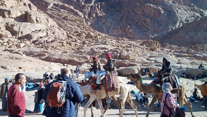 مجموعات سياحية أثناء زيارة جبل موسي